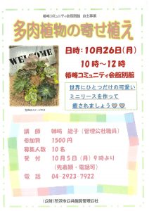 多肉植物の寄せ植え